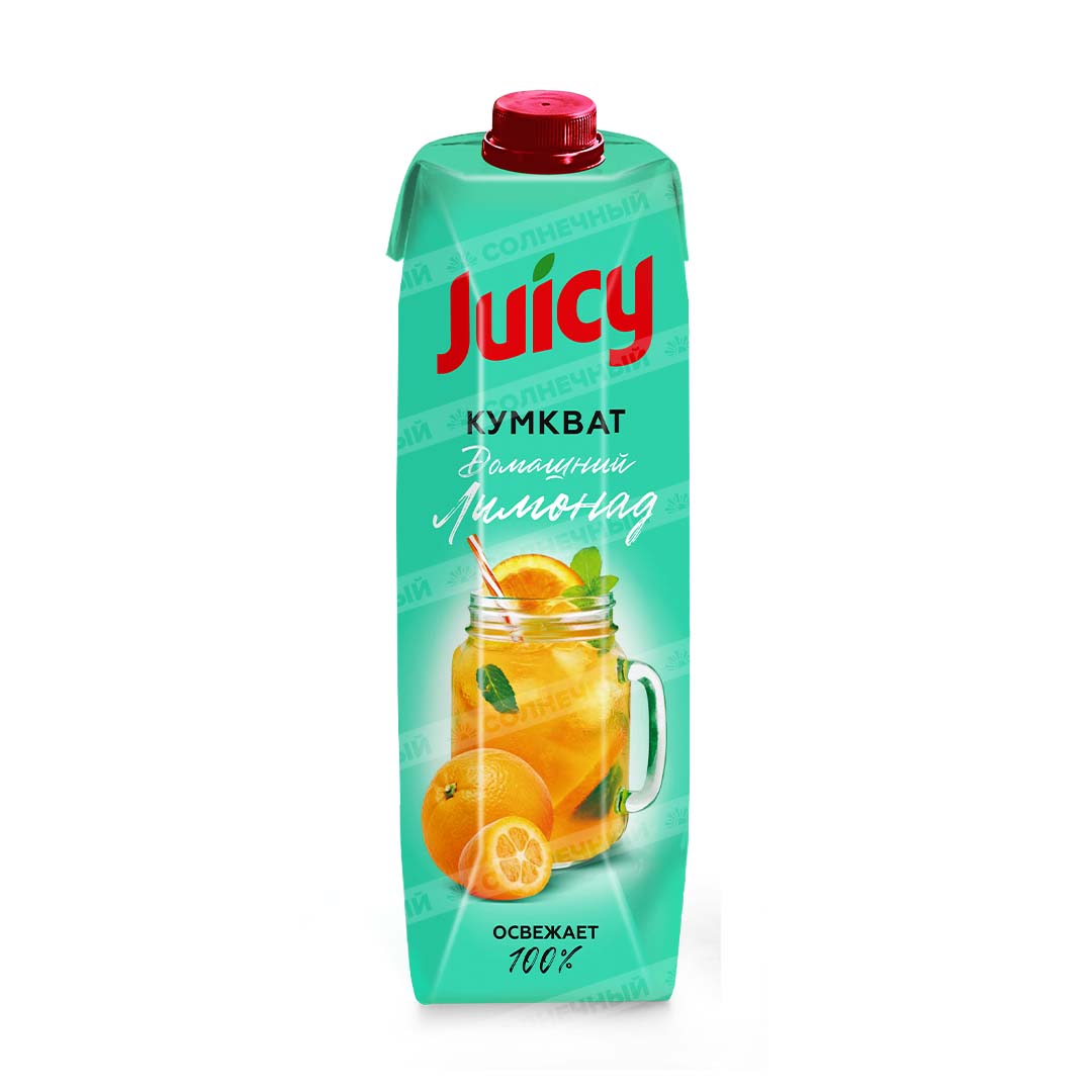 Напиток сокосодержащий Juicy Домашний лимонад Кумкват 0,95л тетра пак —  купить с доставкой на дом в интернет-магазине Солнечный