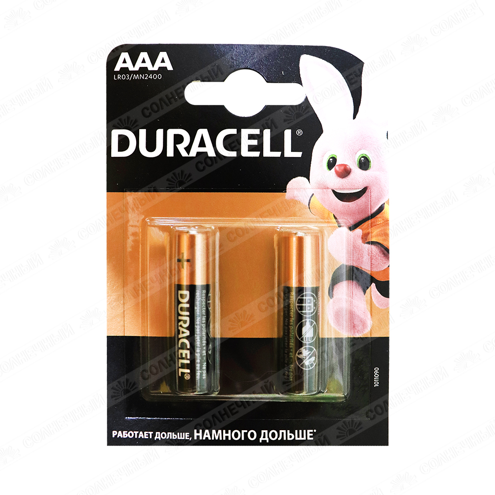 Батарейки Duracell AAA MN2400 2 шт — купить с доставкой на дом в  интернет-магазине Солнечный