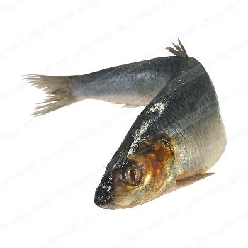 Сельдь Норвежская слабосоленая — купить с доставкой на дом в интернет ...